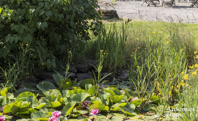 Maison de vacances  Bouillon (Ucimont) pour 27 personnes en Ardenne
