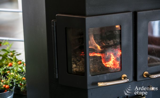 Chalet  Bouillon pour 4 personnes en Ardenne