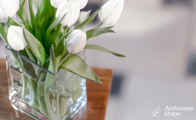 Maison de vacances � Bouillon pour 8 personnes en Ardenne