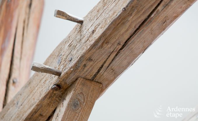 Vacances � la ferme � Bouillon pour 9 personnes en Ardenne