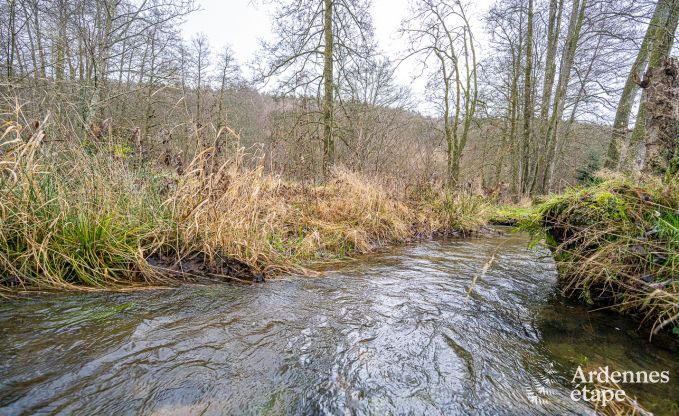 Villa de Luxe  Bouillon pour 15 personnes en Ardenne