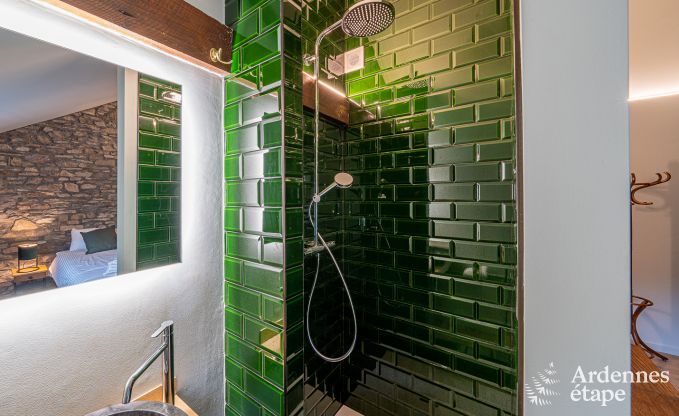 Villa de Luxe  Bouillon pour 15 personnes en Ardenne