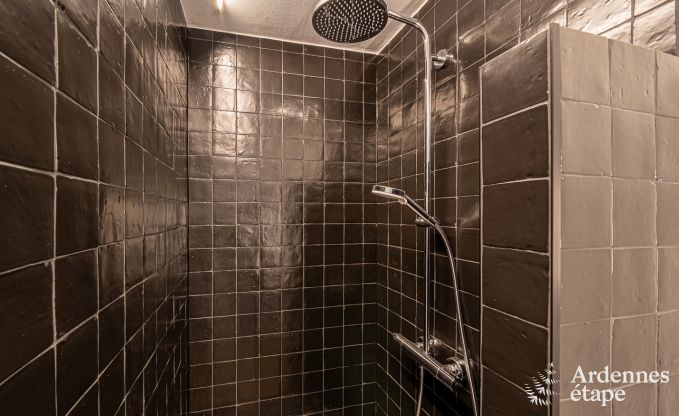 Villa de Luxe � Bouillon pour 15 personnes en Ardenne