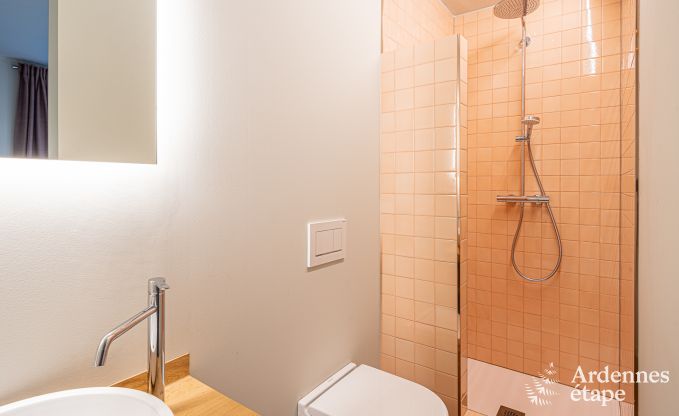 Villa de Luxe � Bouillon pour 15 personnes en Ardenne