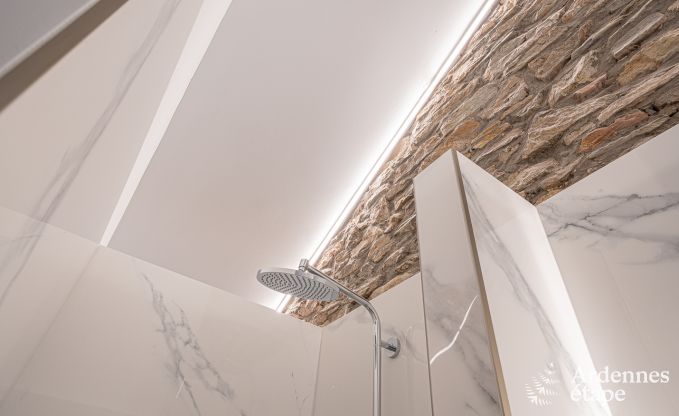 Villa de Luxe � Bouillon pour 15 personnes en Ardenne