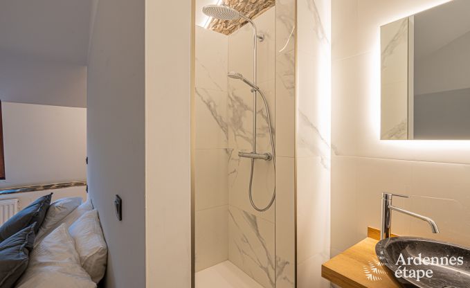 Villa de Luxe � Bouillon pour 15 personnes en Ardenne