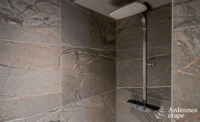 Villa de Luxe � Bouillon pour 8 personnes en Ardenne