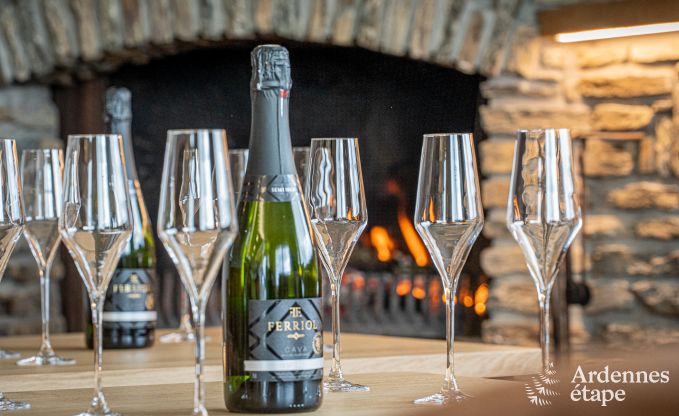 Villa de Luxe � Bouillon pour 14 personnes en Ardenne