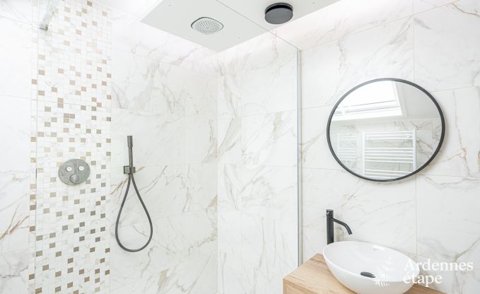 Villa de Luxe � Bouillon pour 14 personnes en Ardenne