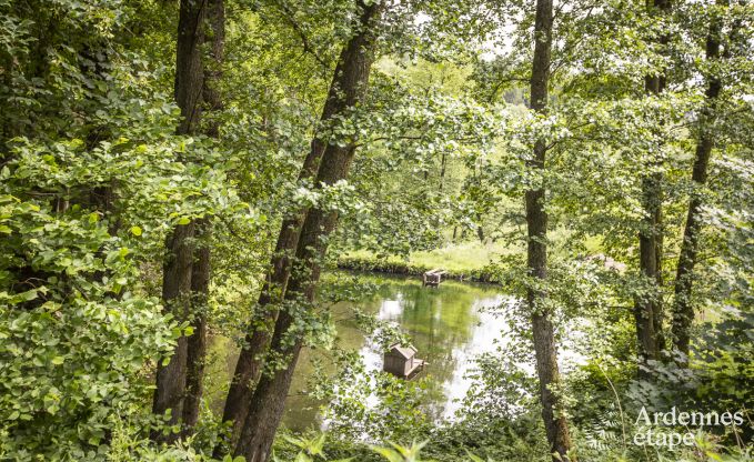 Villa de Luxe � Bouillon pour 20 personnes en Ardenne