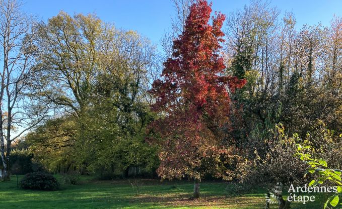 De l'ancien caf  la maison de vacances pour 8 personnes  Bouillon : charme authentique et confort moderne