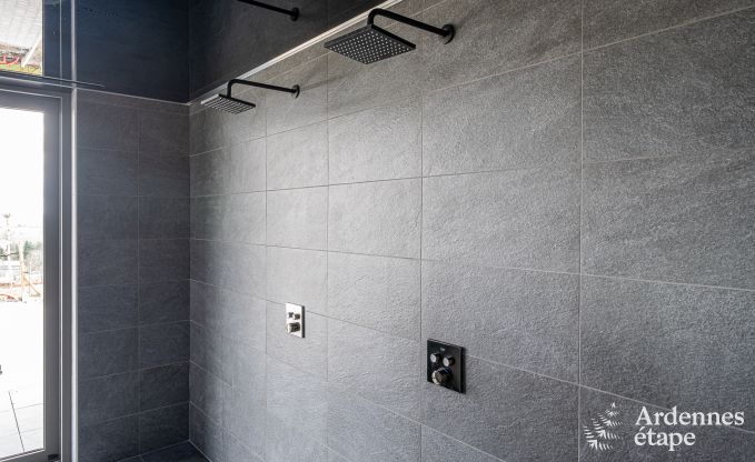 Villa de Luxe � Bouillon pour 14 personnes en Ardenne