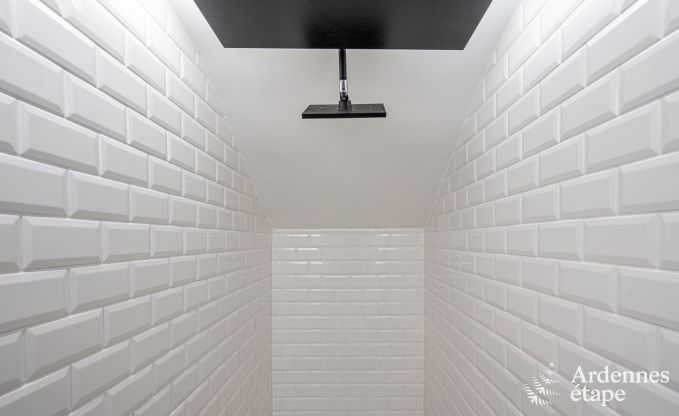 Villa de Luxe � Bouillon pour 14 personnes en Ardenne