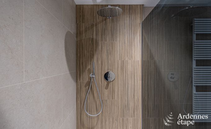 Chalet de luxe  Brognon pour 20 personnes avec piscine extrieure chauffe, jacuzzi extrieur et sauna au bord du lac