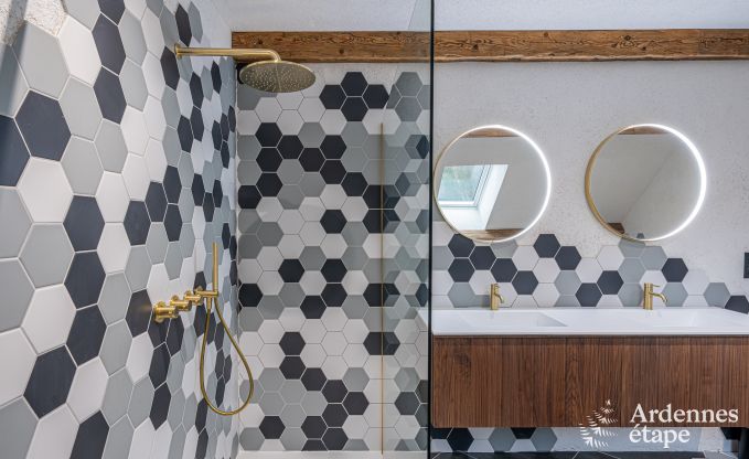 Chalet de luxe  Brognon pour 20 personnes avec piscine extrieure chauffe, jacuzzi extrieur et sauna au bord du lac