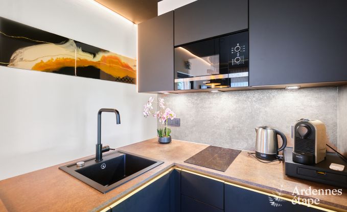 Fermette unique pour 2 personnes  Bllingen avec sauna priv, jacuzzi et douche extrieure