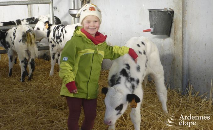Maison de vacances  Burg-Reuland pour 8 personnes en Ardenne