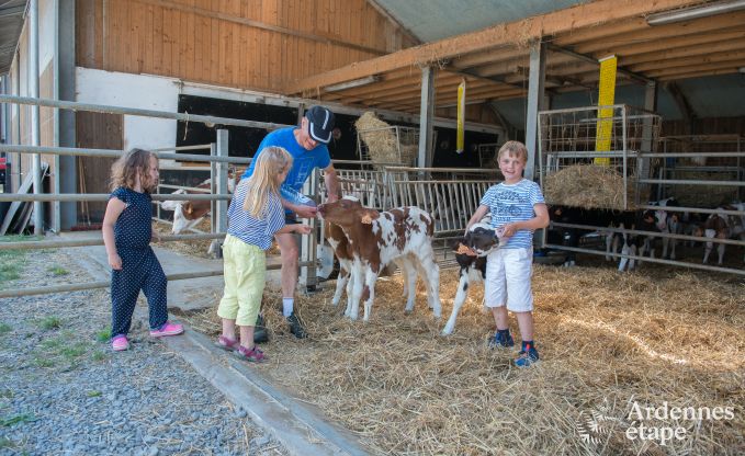 Maison de vacances  Burg-Reuland pour 8 personnes en Ardenne