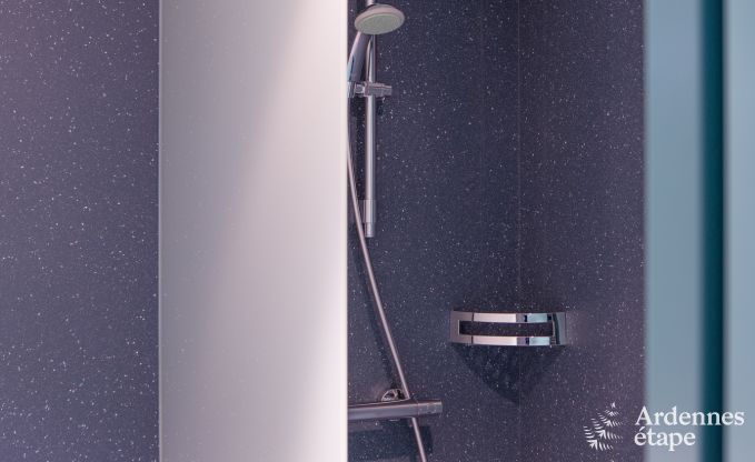 Villa de Luxe  Butgenbach (Heppenbach) pour 24 personnes en Ardenne