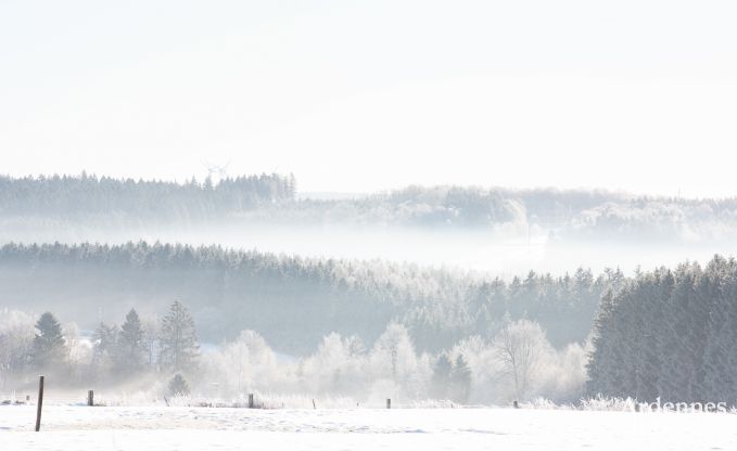 Villa de Luxe � Butgenbach pour 28 personnes en Ardenne