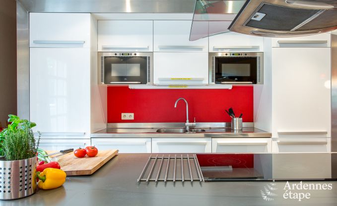 Villa de Luxe  Btgenbach pour 26 personnes en Ardenne