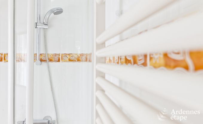 Villa de Luxe  Btgenbach pour 26 personnes en Ardenne