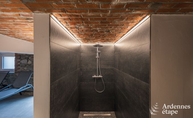 S�jour d'exception en villa de luxe � Butgenbach : 18 personnes, piscine int�rieure, sauna, au c�ur de l'Ardenne