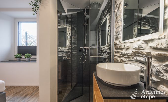 S�jour d'exception en villa de luxe � Butgenbach : 18 personnes, piscine int�rieure, sauna, au c�ur de l'Ardenne