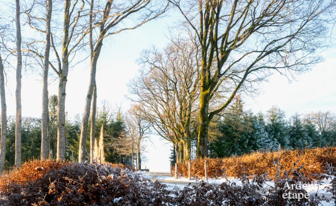 Villa de Luxe � Butgenbach pour 28 personnes en Ardenne