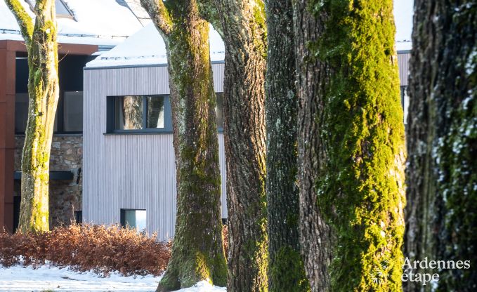 Villa de Luxe � Butgenbach pour 28 personnes en Ardenne