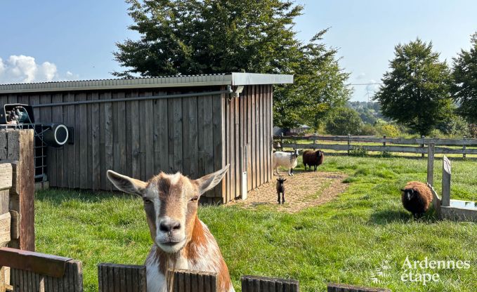 Appartement de vacances spacieux pour 12 personnes avec 5 chambres et jardin priv� et wellness partag� � Butgenbach