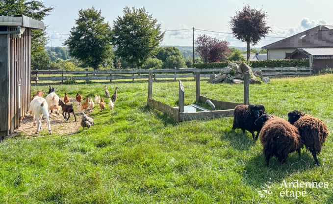 Appartement de vacances spacieux pour 12 personnes avec 5 chambres et jardin priv� et wellness partag� � Butgenbach