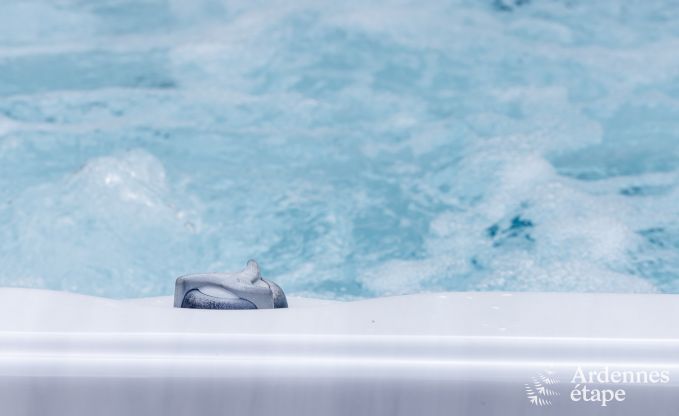 Chalet � B�tgenbach pour 6 personnes en Ardenne