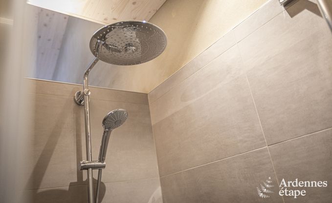 Villa de vacances exceptionnelle pour 16 personnes avec piscine intrieure dans les Hautes Fagnes