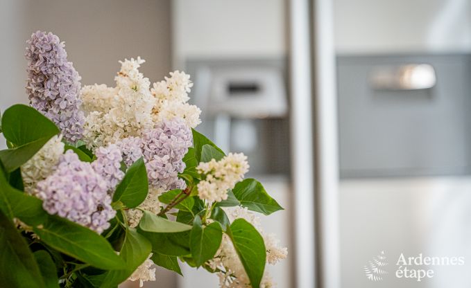 Maison de vacances  Cerfontaine pour 12/14 personnes en Ardenne avec terrain de tennis