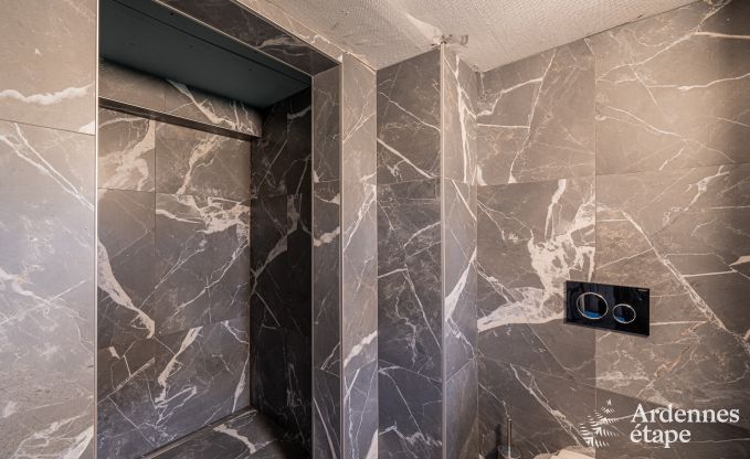 Villa luxueuse � Cerfontaine : parfaite pour 14 personnes, avec piscine int�rieure et ext�rieure, proche des Lacs de l'Eau d'Heure