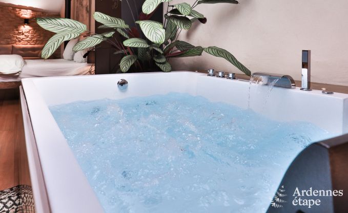 Maison de vacances � Chassepierre pour 4/6 personnes en Ardenne