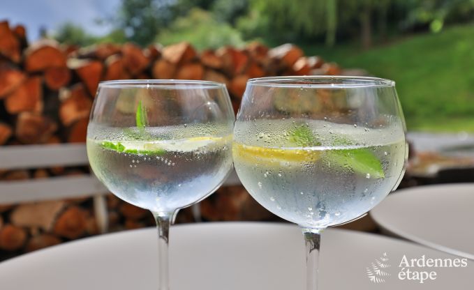 Maison de vacances � Chassepierre pour 4/6 personnes en Ardenne