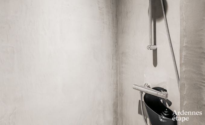 Maison de vacances  Chassepierre pour 50 personnes en Ardenne