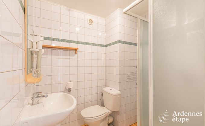 Gite de charme  Chassepierre pour 12 personnes en Ardenne