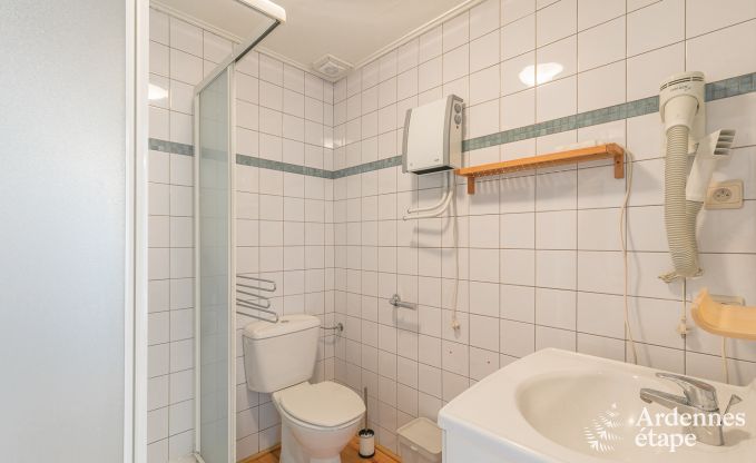 Gite de charme  Chassepierre pour 12 personnes en Ardenne