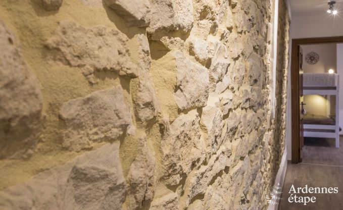 Maison de vacances  Chassepierre pour 8/9 personnes en Ardenne