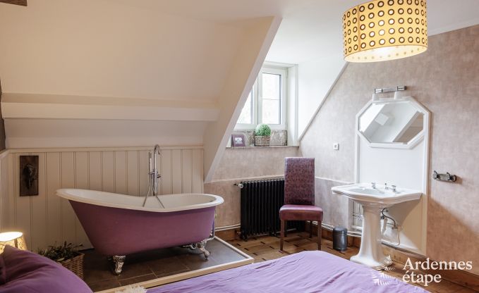 Luxueux ch�teau � Chiny pour 32 personnes en Ardenne