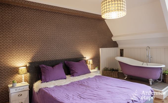 Luxueux ch�teau � Chiny pour 32 personnes en Ardenne