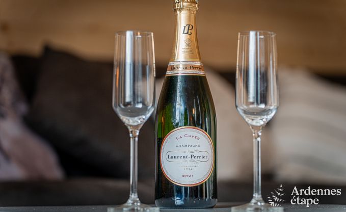 Charmant chalet pour 5 sur la rive de la Semois  Chiny, Gaume