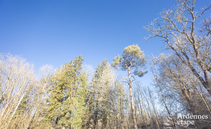 Maison de vacances � Ciergnon pour 4 personnes en Ardenne