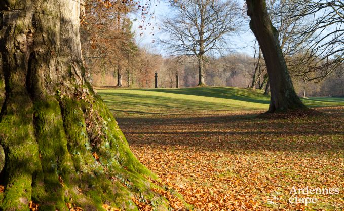 Ch�teau � Ciney pour 31 personnes en Ardenne