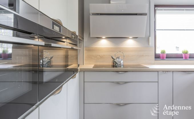 Villa de Luxe � Ciney pour 14 personnes en Ardenne