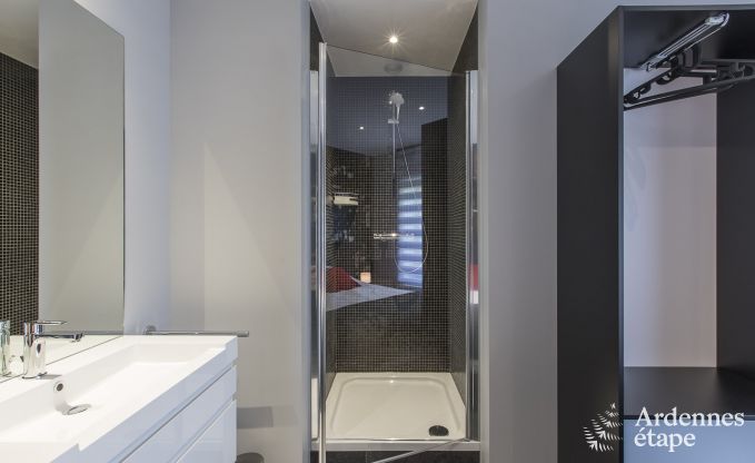 Villa de Luxe � Ciney pour 14 personnes en Ardenne