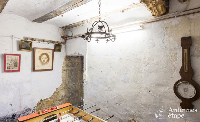 Chteau  Ciney pour 31 personnes en Ardenne